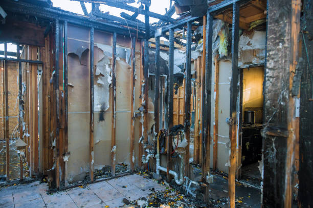 Professional Fire Damage Removal technician working in Clinton, WI